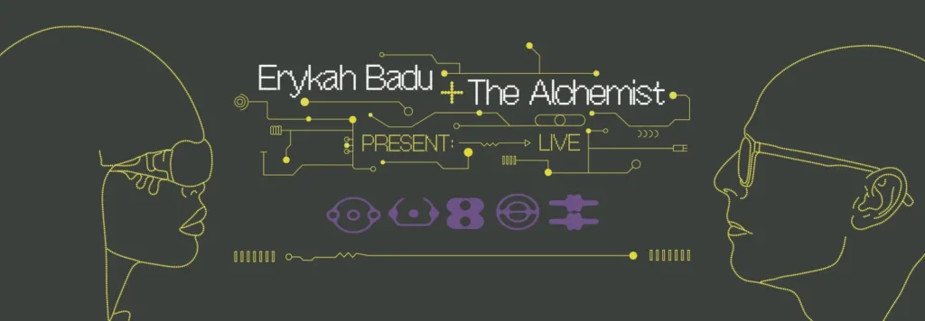 Erykah Badu at Jacobs Pavilion